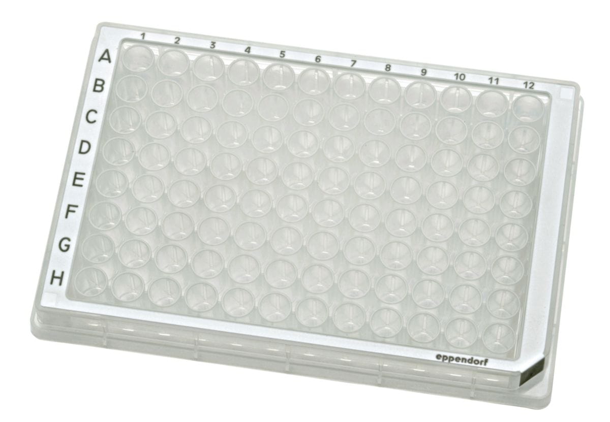 Eppendorf Plates • POCD Scientific