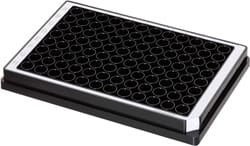Raised rims for effective sealing