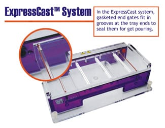 Gel Trays  BulletExpressCast™ - end gated tray system 