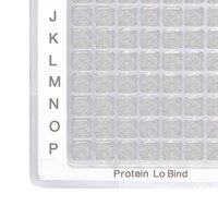 protein-lobind-plates-image.jpg